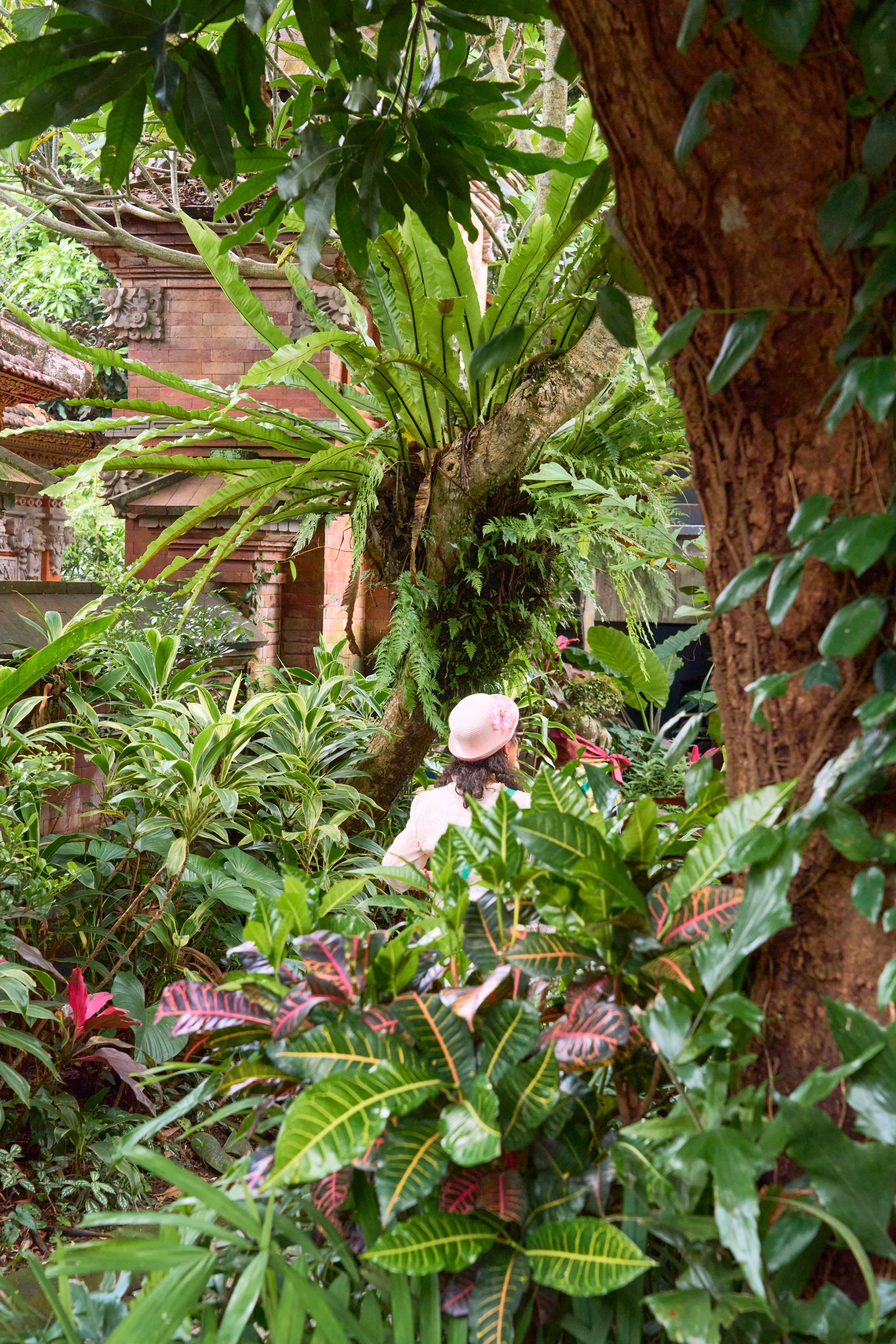 Lush tropical garden dense with vegetation, palm trees, and varied foliage, with a person visible in the background wearing light-colored clothing and a hat.