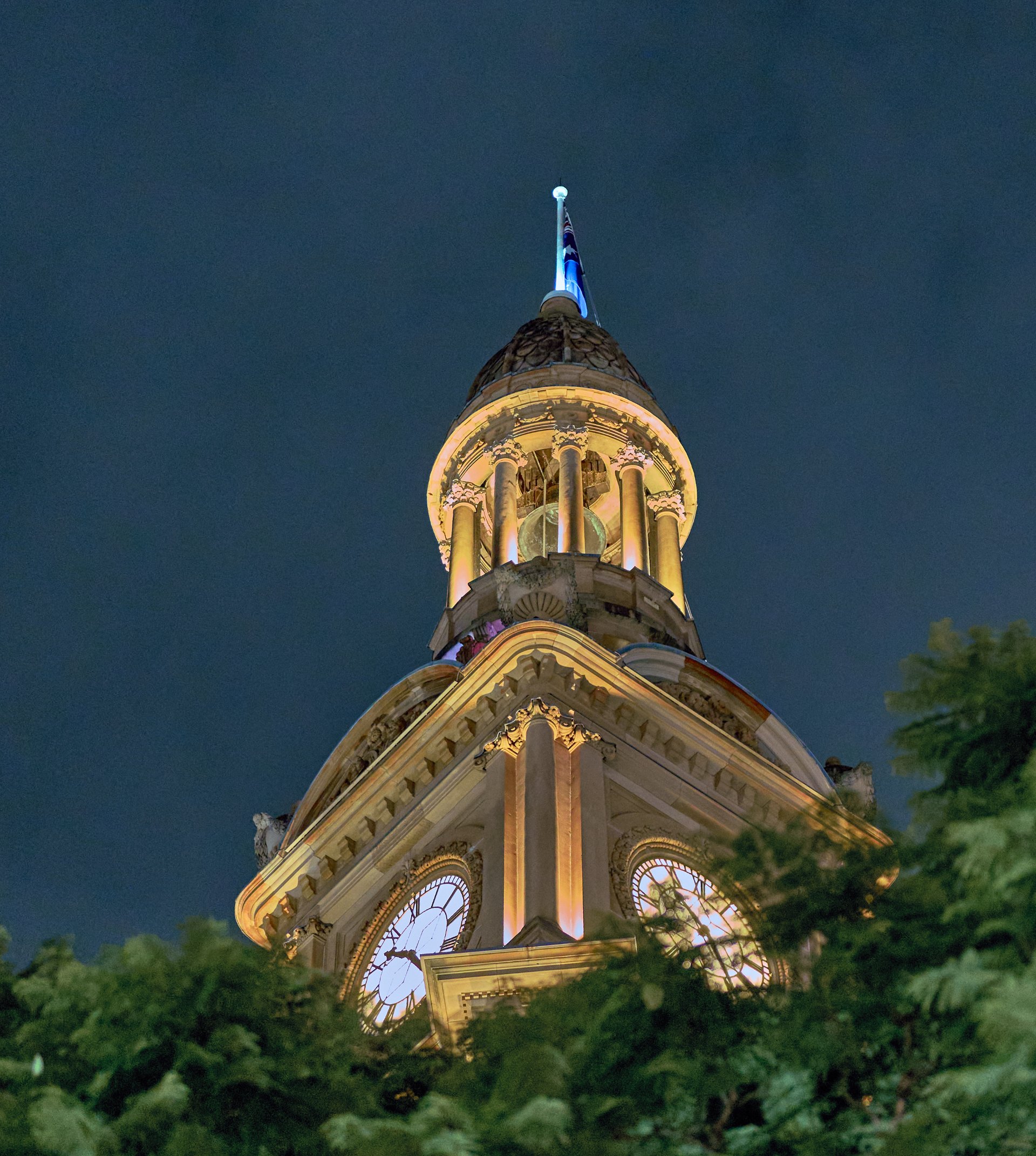 Illuminated ornate clock tower with a domed cupola, photographed at night through silhouetted tree branches.