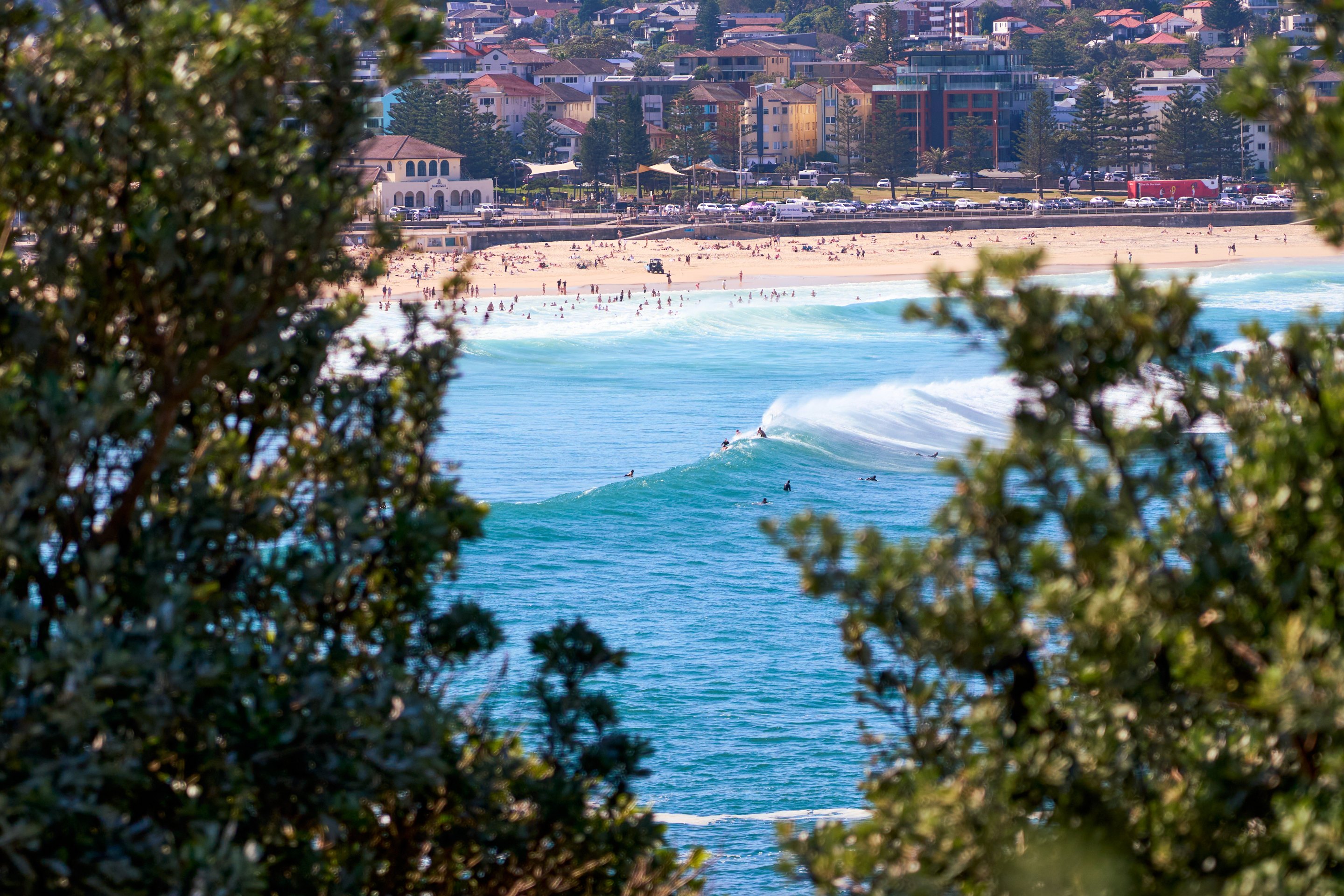 Sandy beach and breaking wave framed by green coastal foliage, with urban buildings visible in the distance.