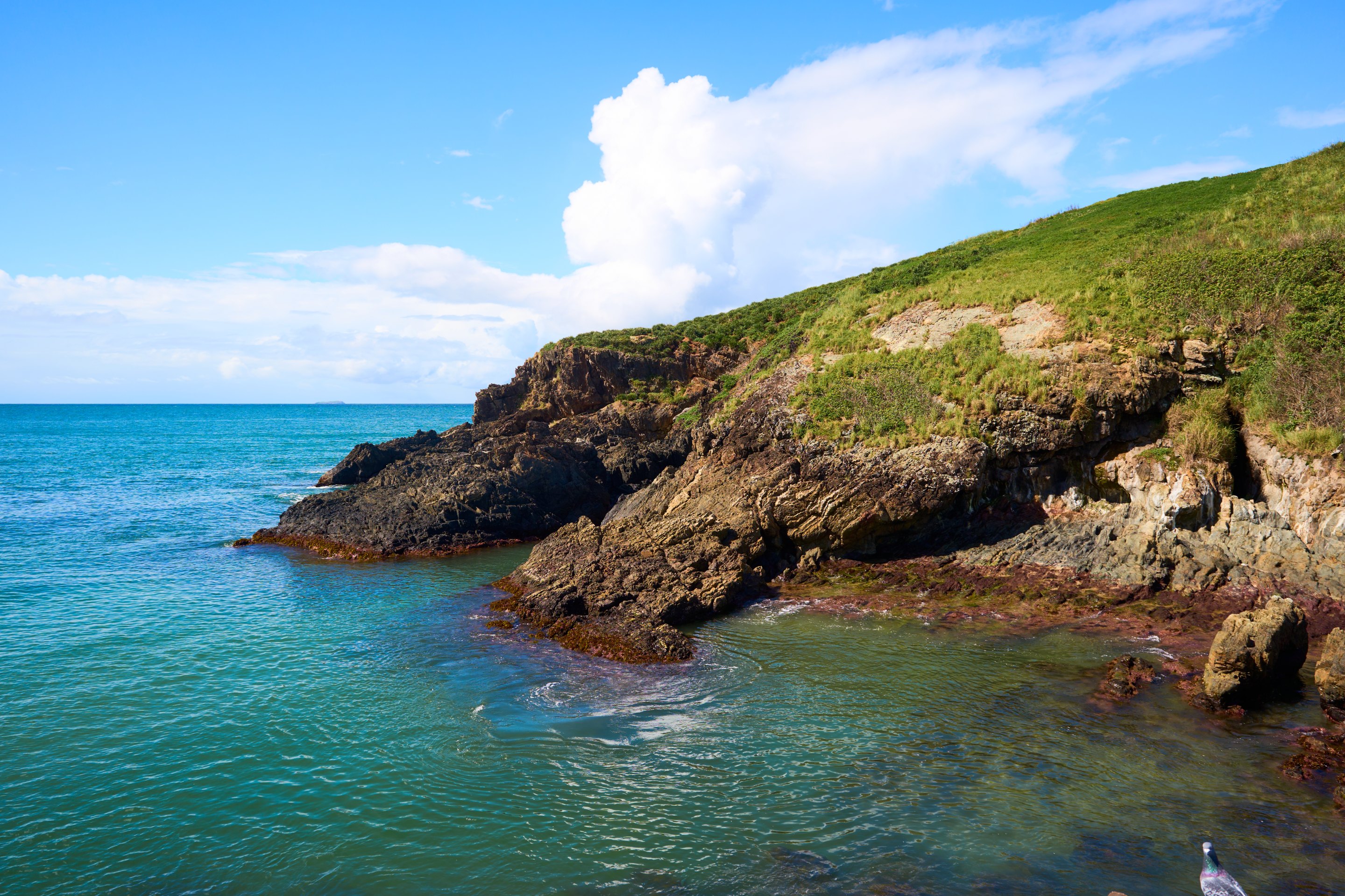 A rocky cove with dark volcanic formations, turquoise water, and a grassy headland, under clear blue sky with white clouds and a small seabird visible at water's edge.