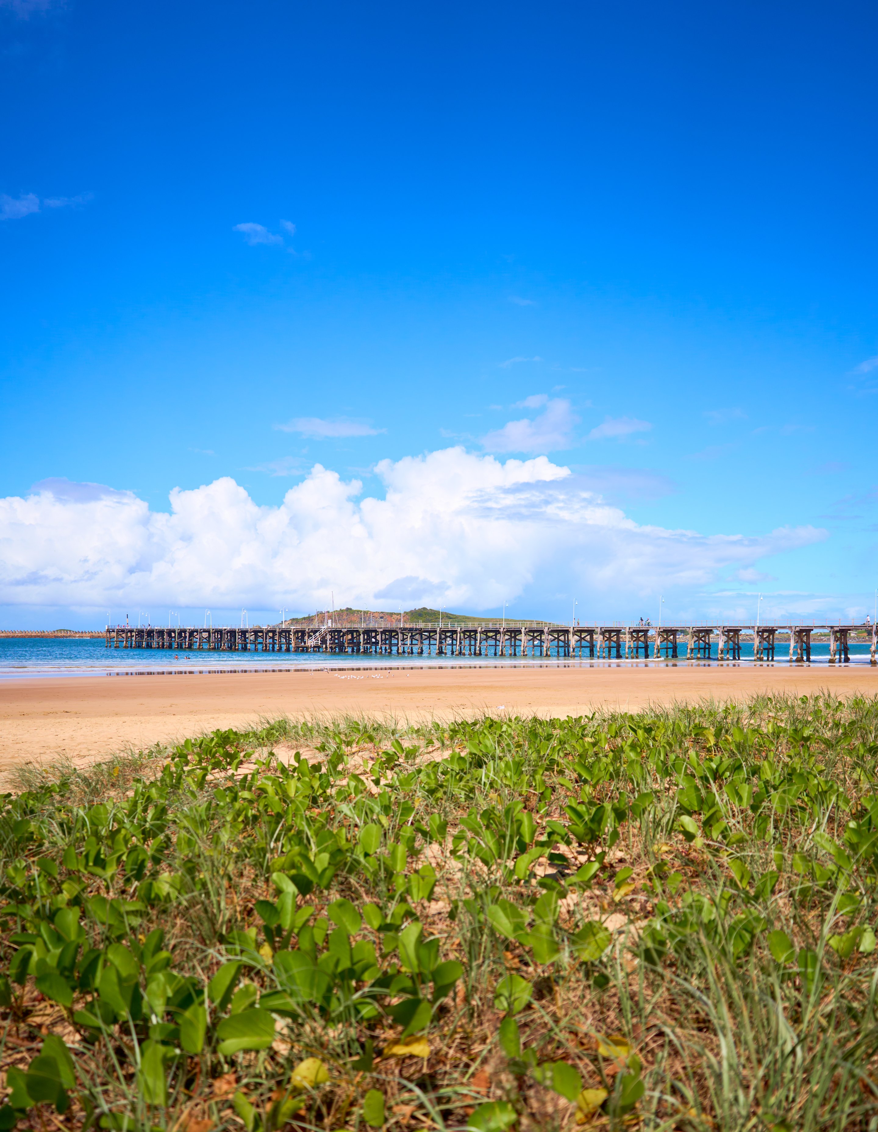 Looking across coastal dune grasses toward a sandy beach, a long pier extends into blue water beneath mountains visible on the far shore and white cumulus clouds.