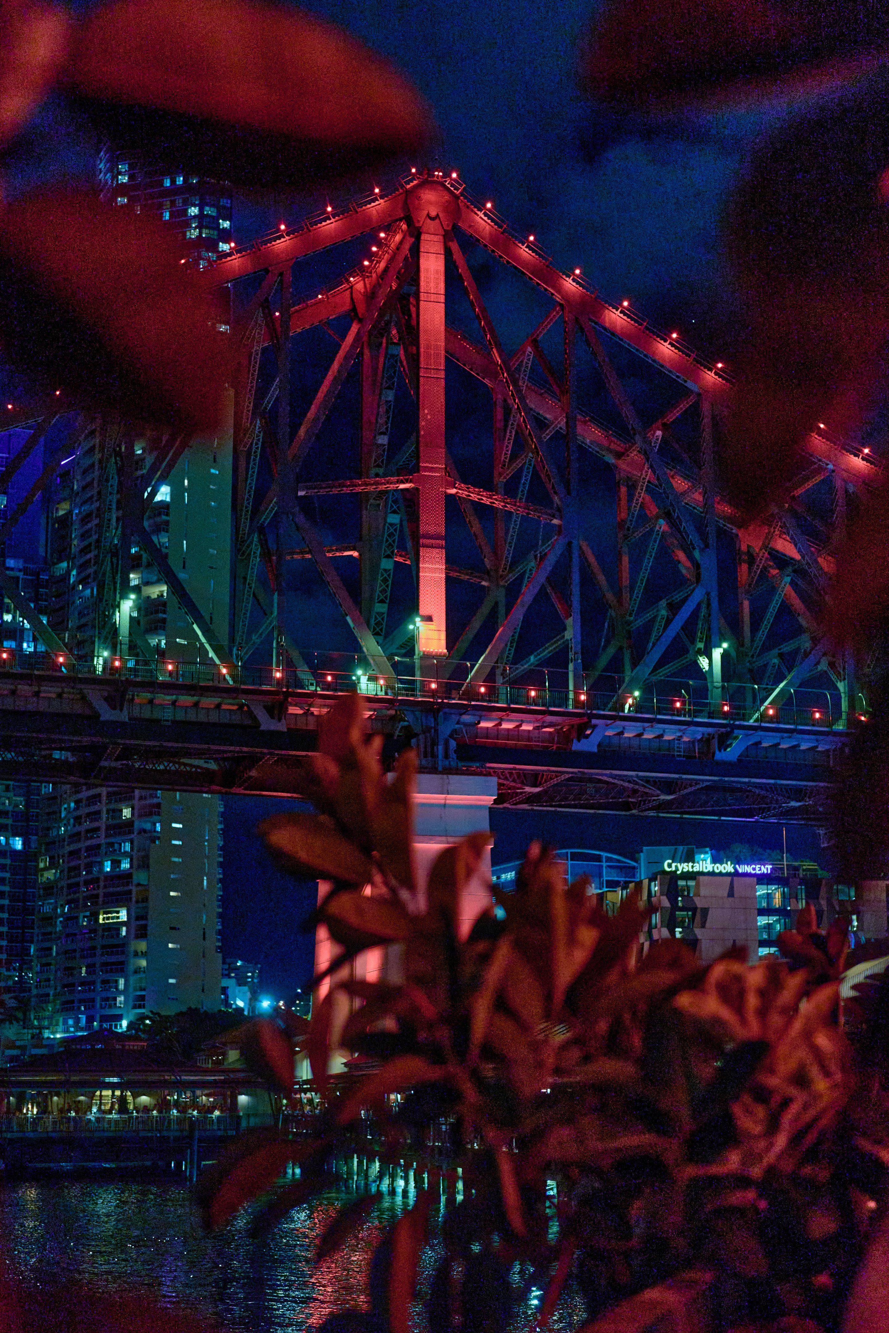 The Story Bridge decorated with red and white lights at night, city buildings glowing behind it, river reflecting the illumination, with red tropical flowers in the foreground.