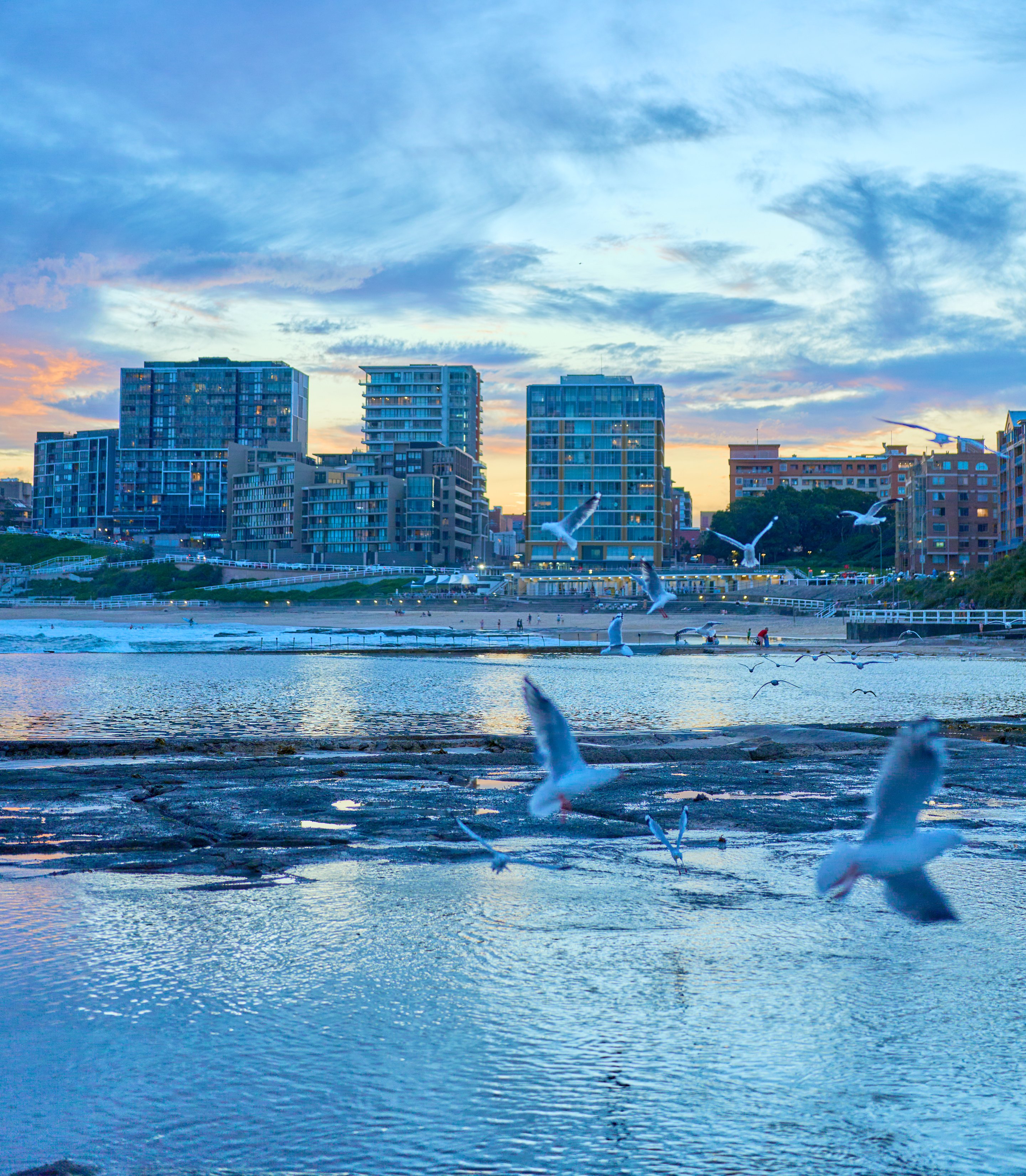 Seagulls in flight low over a beach at sunset, high-rise apartment buildings and warm sky reflected in the wet sand.